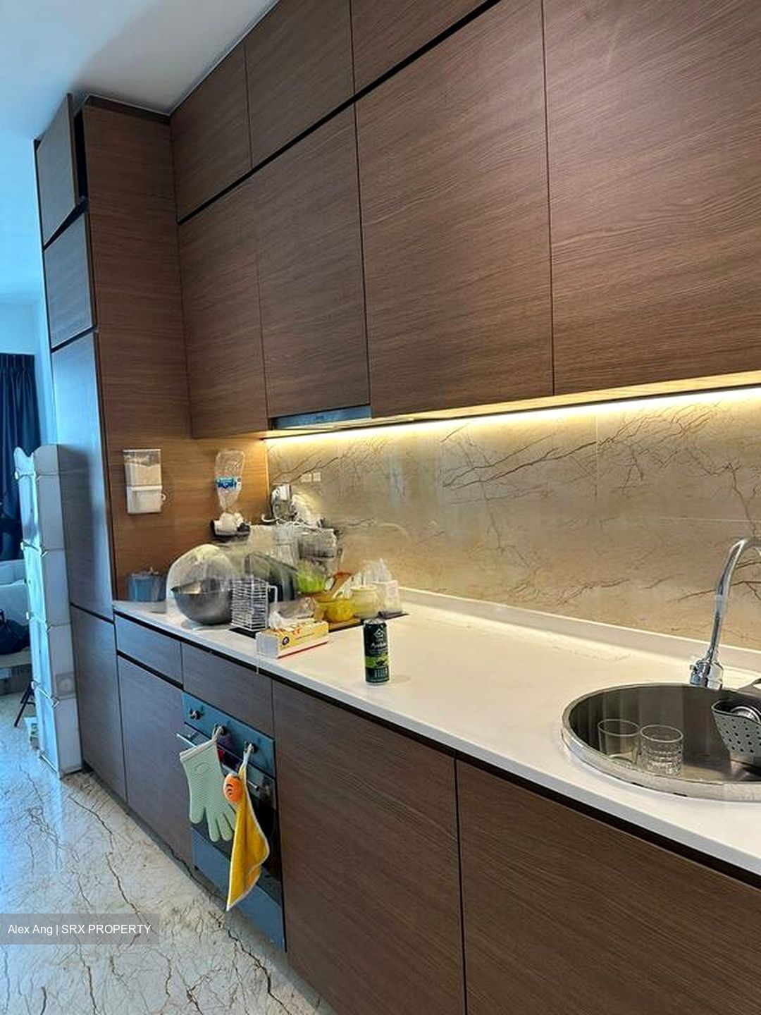Queens Peak (D3), Condominium #483343101